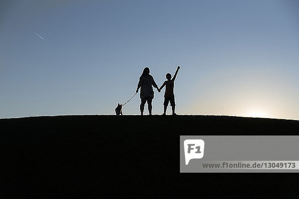 Scherenschnittgeschwister mit Hund stehen an Land vor klarem Himmel bei Sonnenuntergang