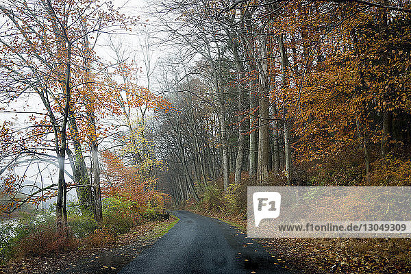 Empty road amidst trees in forest during autumn