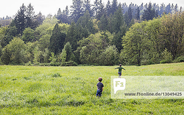 Rear view of brothers walking on grassy field in forest