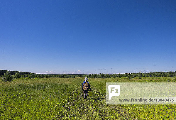 Rückansicht einer Wanderin mit Rucksack  die auf einem Grasfeld vor strahlend blauem Himmel wandert