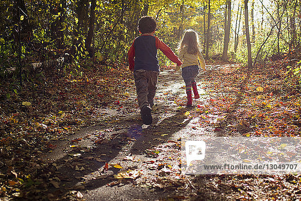 Rear view of playful siblings running in forest during autumn