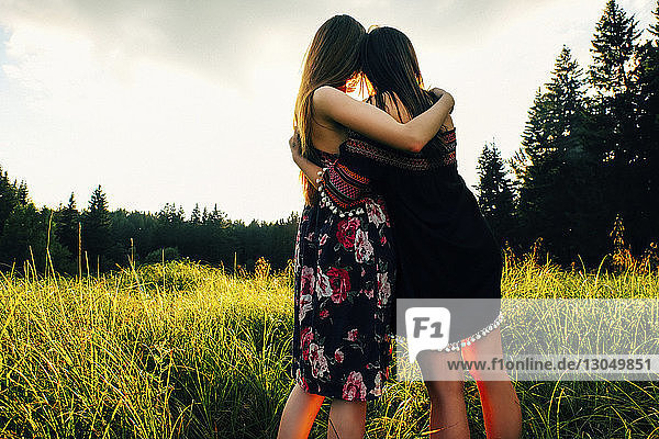Rückansicht eines lesbischen Paares  das sich auf einem Grasfeld gegen den Himmel umarmt