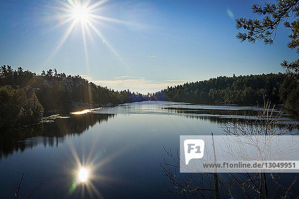 Landschaftliche Ansicht eines ruhigen Sees bei Bäumen gegen den blauen Himmel während eines sonnigen Tages