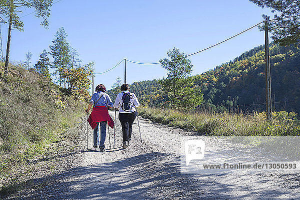 Rückansicht von Wandererinnen  die auf einem Feldweg gegen den klaren Himmel im Wald laufen