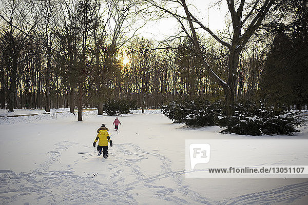 Siblings playing on snow covered field in forest