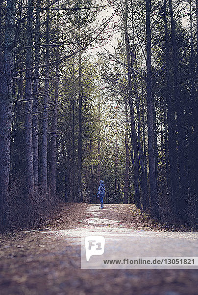 Junge in voller Länge auf Feldweg inmitten von Wald stehend
