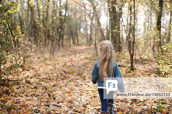 Little girl exploring forest