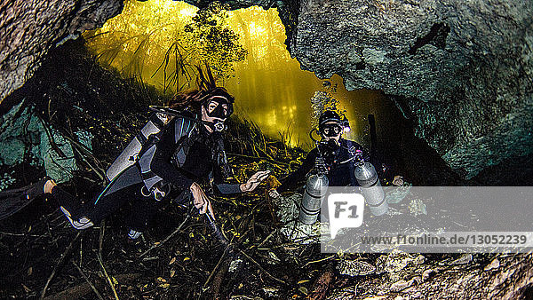 Cenoten-Höhlentauchen  Tulum  Quintana Roo  Mexiko