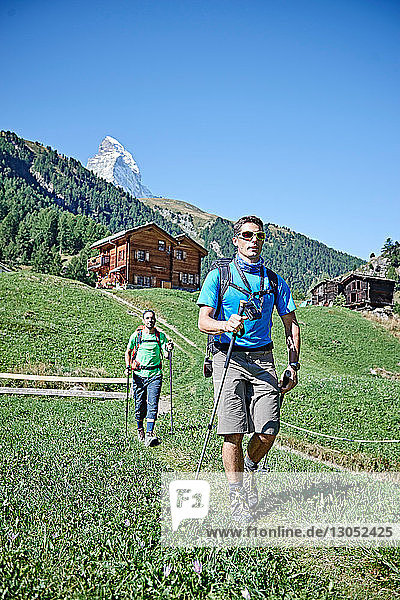 Hikers on lush green field  chalets in background  Mont Cervin  Matterhorn  Valais  Switzerland