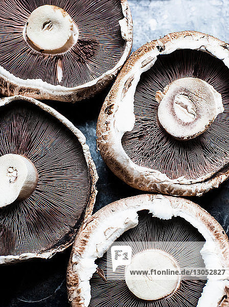 Auf dem Kopf stehende Portabello-Pilze  Stilleben  Draufsicht