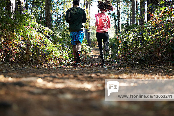 Male and female runners running in forest  rear view