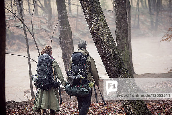 Rückansicht eines Paares  das am Fluss im Wald spazieren geht