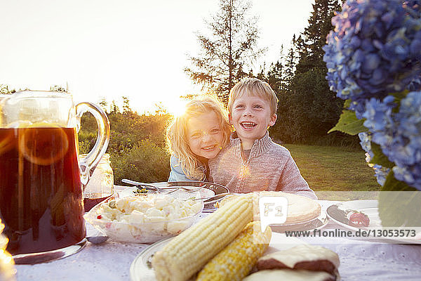 Glückliche Geschwister am Picknicktisch an einem sonnigen Tag