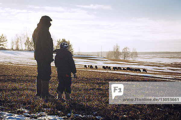 Rear view of grandfather and boy standing on snow covered field
