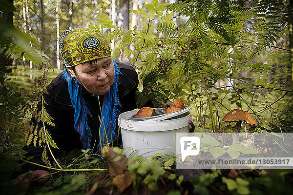 Weibliche Landarbeiterin beim Pilzesammeln im Wald