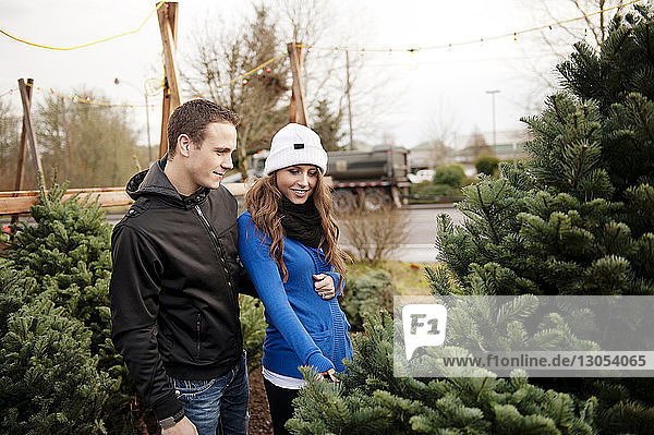 Ehepaar kontrolliert Weihnachtsbaum am Stand