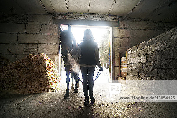 Frau zu Fuß mit Pferd im Stall