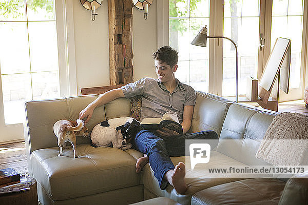 Mann spielt mit Haustieren  während er zu Hause auf dem Sofa sitzt