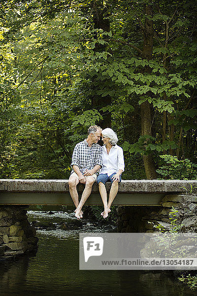 Romantisches älteres Ehepaar sitzt auf einem Steg über einen Bach im Wald