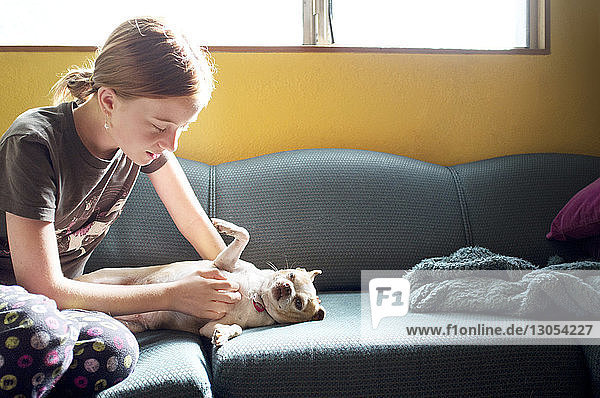 Mädchen spielt mit Hund  während sie auf dem Sofa sitzt