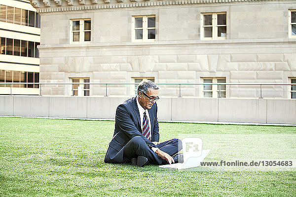 Selbstbewusster Geschäftsmann benutzt Laptop-Computer  während er auf einem Grasfeld sitzt