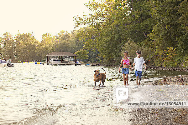 Siblings walking with dog at lakeshore against trees