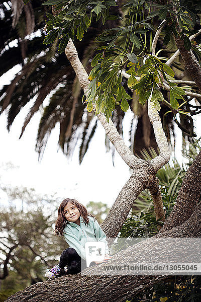 Cute girl sitting on tree trunk against sky