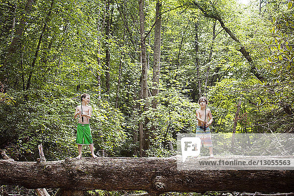 Brothers fishing while standing on fallen tree trunk in forest