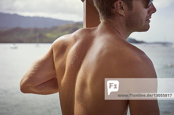Rear view of shirtless man against sea on sunny day