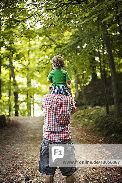 Rückansicht eines Vaters  der seinen Sohn auf den Schultern trägt  während er auf einem Feldweg im Wald steht
