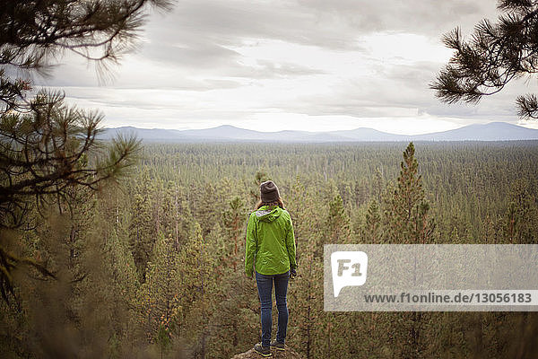 Rear view of woman looking at forest while standing on rock