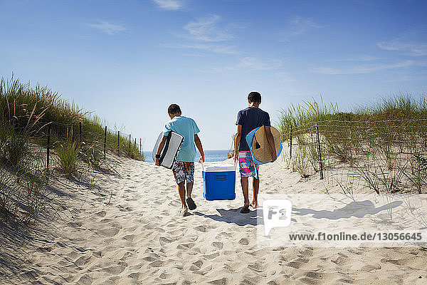 Rear view of brothers carrying cooler while walking at beach