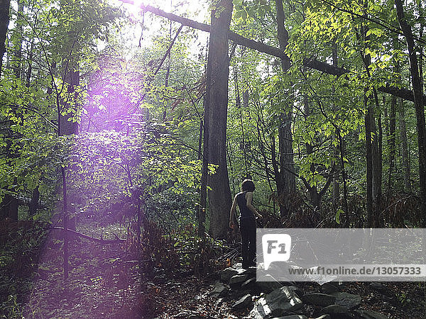Rückansicht eines Jungen  der an einem sonnigen Tag im Wald steht