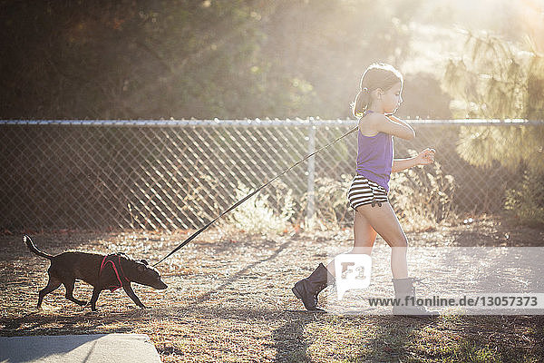 Mädchen hält Hundeleine beim Spaziergang auf dem Feld