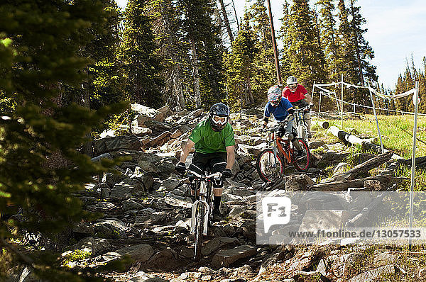 Bikers cycling on rocks in forest
