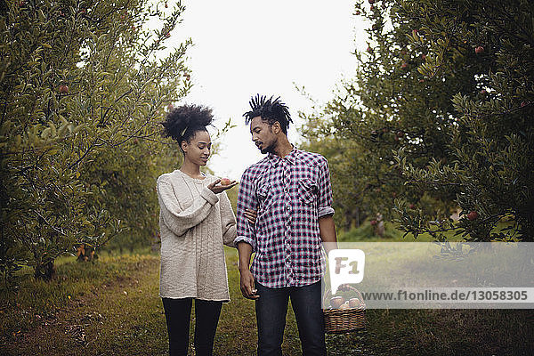Couple standing in apple orchard