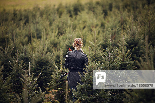 Rear view of woman with hand saw walking in pine tree farm