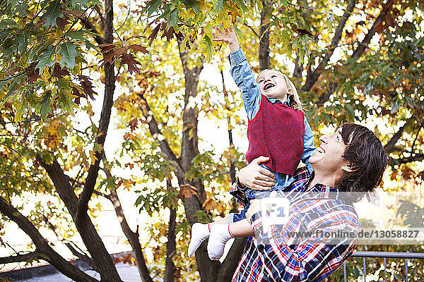 Cheerful man carrying son while touching leaf