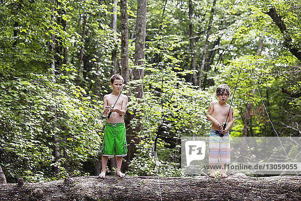 Brothers fishing while standing on tree trunk in forest
