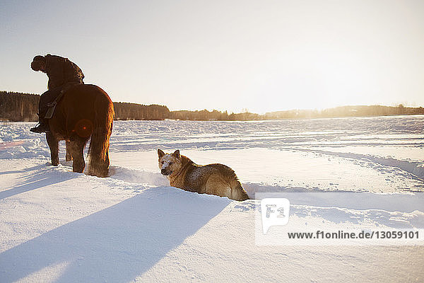 Mann sitzt auf Pferd und Hund auf schneebedecktem Feld vor klarem Himmel