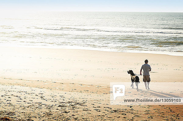 Rückansicht eines Mannes mit Hund beim Spaziergang am Strand