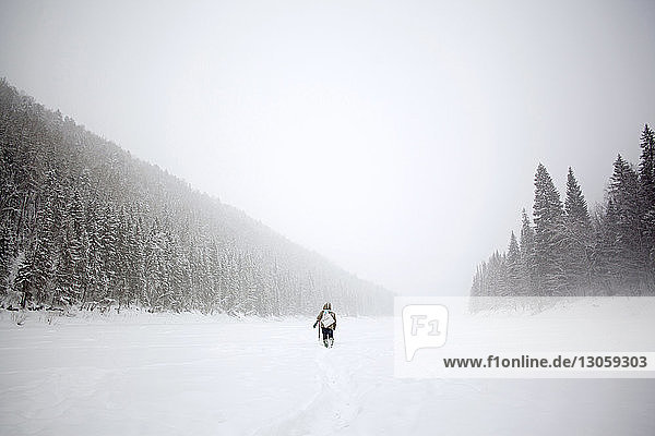 Rear view of hiker walking on snow covered field