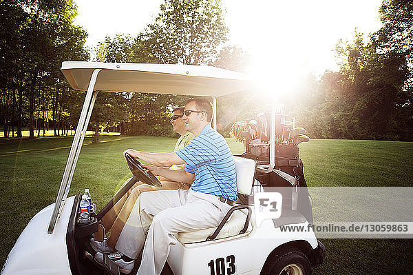 Seitenansicht eines glücklichen Mannes  der mit einem Freund auf dem Feld einen Golfwagen fährt