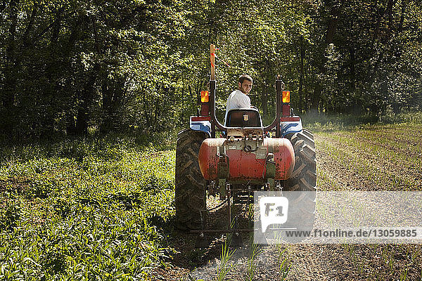Farmer spraying fertilizer on agriculture field