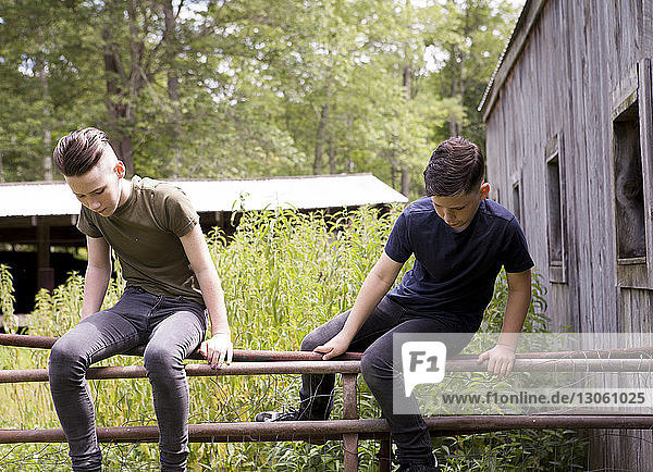 Jungen sitzen auf Metalltor bei Holzhütte