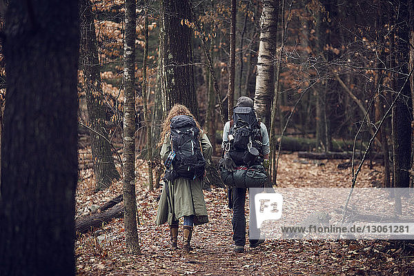 Rückansicht eines im Wald spazieren gehenden Paares