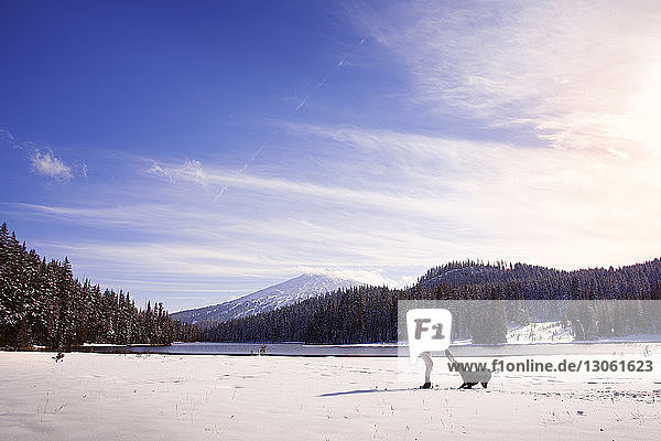 Woman playing with dog on snow covered field against sky
