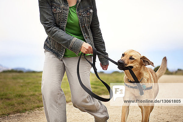 Woman and dog walking on road against sky