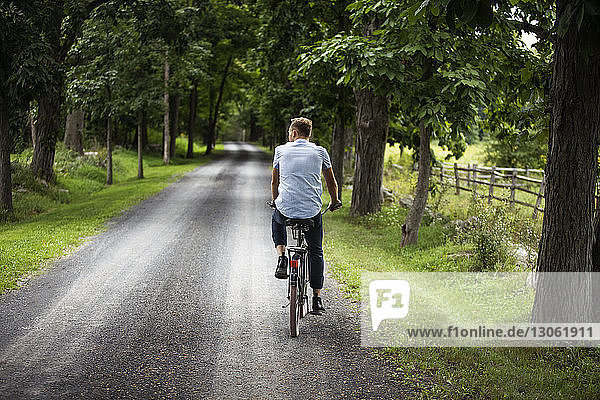 Rückansicht eines Fahrrad fahrenden Mannes auf einer Straße im Wald