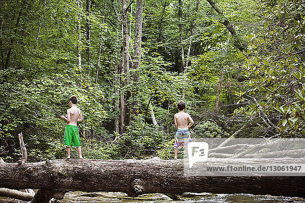 Rear view of brothers fishing while standing of fallen tree trunk in forest